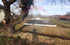 Teren de vanzare, 1050mp  cu proiect de casă in  Zarnesti/Tohanita - 7