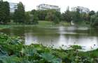 Apartament 3 camere l Parc Circului l Vedere catre Parc l Pet Friendly - 6
