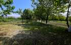 Teren intravilan 4,516mp Doina - 20