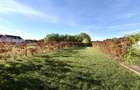 Duplex premium, 3 camere, 86.4 mp utili, 418 mp teren - Ghiroda - 2
