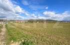 Teren Extravilan în Apropiere de Jelna – 25.800 mp, cu Utilități - 4
