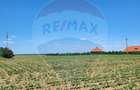 Teren intravilan 5,000 mp Peris IF - 1
