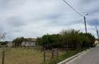 Teren CENTRAL Corbu, 633 mp, 31 m deschidere, toate utilitatile, ideal casa/vila - 1