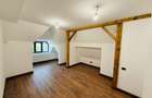 Apartament de vacanta VANDUT - (AP10) - 9