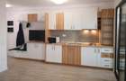 Apartament cu 1 camera, CU LOC DE PARCARE, zona Dacia-BLOC NOU - 5