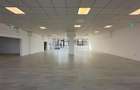 Spatiu comercial bd. Poitiers, 286mp, langa Makita, Sophia - 5