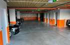 Apartament, Cluj-N (Augustin Buzura), op sp, mobilat și utilat complet, garaj - 8