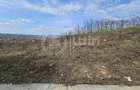 Teren intravilan 2900mp | 60m front | Borhanci | Zona Hub Educational - 2