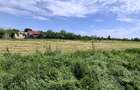 com. Buturugeni, sat Posta, stradal DJ 412A, intravilan, 2720 mp - 14