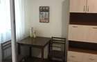 Apartament o camera circumvalatiunii 250euro - 16