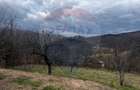Teren intravilan 12.458 mp în Văleni (Meteș) - 3