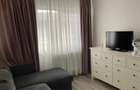 Apartament 2 camere decomandate , parcare , zona Amethyst . - 8
