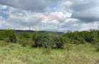 Teren de vanzare 13783mp, front la DN, parcela unica zona de vest - 9
