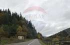 Vânzare teren extravilan, 4 ha pădure, zona turistică Liban, Harghita - 4