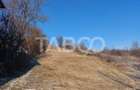 Teren intravilan 791 mp utilitati langa parcela front 13 m Cisnadie - 3