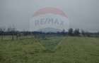 Teren intravilan 2.205 mp – dublă deschidere, utilități, parcelabil - 6