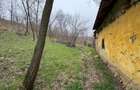 Teren 2.038 mp + Casă 50 mp de vânzare – Sat Luncsoru, Com. Ghercești - 7