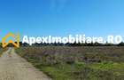 Corbeanca - Tamasi | Teren 1225mp, deschidere 44ml | Utilitati la 50m - 8