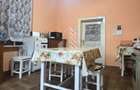 Proprietate cu potential turistic in Gurahont - 9