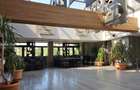 Cladire Comerciala Premium | Splaiul Independentei | Investitie | Horeca - 9