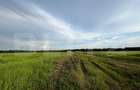 Teren parțial intravilan 23.500 mp, apă, curent și supraveghere video, Bucovăț - 8