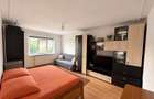 Apartament decomandat cu 1 cameră în Nicolina 1 - 3