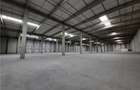 Spatiu Industrial - 3000 mp - Logistica - Productie - Depozitare - Distributie - 2