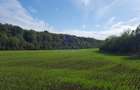Vanzare teren 24.000 mp, la padure, Dascalu - Runcu