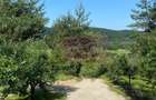 Cabane A frame + Teren 6000 mp |  Proprietate deosebita, NOU - 17