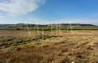 Teren intravilan pentru constructii de vanzare in Sannicoara - 6