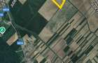 Teren extravilan 16,3 ha | Cosoba, Giurgiu | fotovoltaice - 3