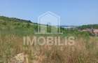 Teren de vanzare | 8800 mp | Viile Dealul Mic - 3