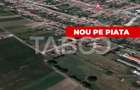 OPORTUNITATE INVESTITIE Teren de vanzare Sura Mare 24000 mp - 2