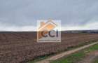 Teren 10,000mp Bacau / Strada Alexandru Safran - 9