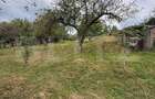 Teren intravilan 1300 mp, front 27 ml, Adancata - Suceava - 2