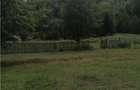 Teren intravilan - Berevoiesti - Arges - 2