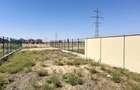 Duplex spatios, 5 camere, 162 mp utili, 538 mp teren - Dumbravita - 3