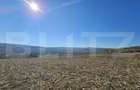 Teren extravilan, 17.000 mp, zona Almasu Mic - 3