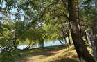 REA1022823 Duplex 200 mp I Herastrau I Sauna I Priveliste catre lac - 17