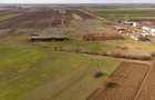 Fermă cu teren intravilan de 35000 mp în Mișca - 16