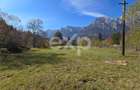 Teren intravilan în Bușteni, cu vedere spectaculoasă spre Crucea Caraiman - 1