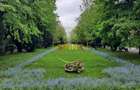 Parc Cismigiu, vanzare apartament 4 camere in vila interbelica - 32