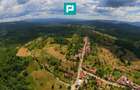 Casă de vacanță cu 2 corpuri si view în Dulcele - 30