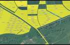 Teren extravilan 5.500 mp Moșnița Nouă – acces la drum, zonă în dezvoltare - 4