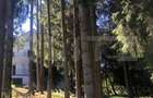 Afacere la cheie! Vila clasificata, 5 camere, 300 mp, teren 1600 mp - 17
