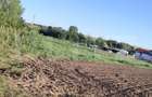 Teren ideal pentru constructie, 2722 mp in Ghercesti - 2