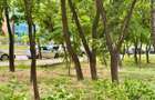 Podu Ros, langa Palas Campus, apartament cu 2 camere de inchiriat - 5