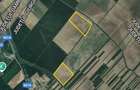 Teren extravilan 16,3 ha | Cosoba, Giurgiu | fotovoltaice - 1