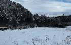 Vand Teren Intravilan 3000mp, PUZ aprobat, Poiana Angelescu, Sacele, Brasov - 6