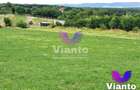 Oportunitate-Teren Extravilan 3100 mp cu vedere Panoramica-Tropinii Noi-Rasinari - 4